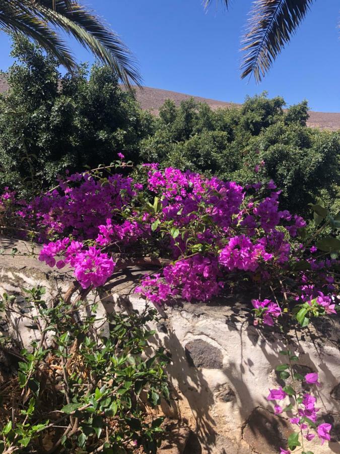 Los Tunos Campo Internacional Maspalomas (Gran Canaria) Exterior foto